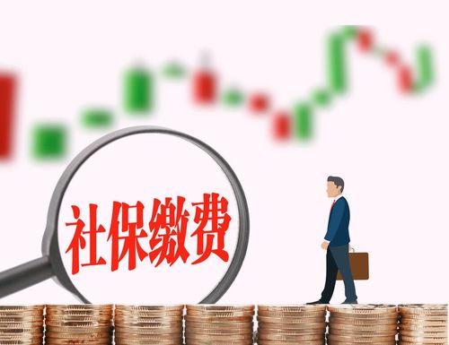 如何查询公司养老保险缴费档次 60%、100%还是300%？